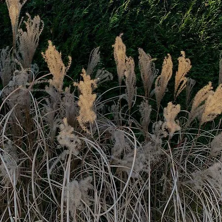 Le Pre Rainette, D'hotes De Charme 3*